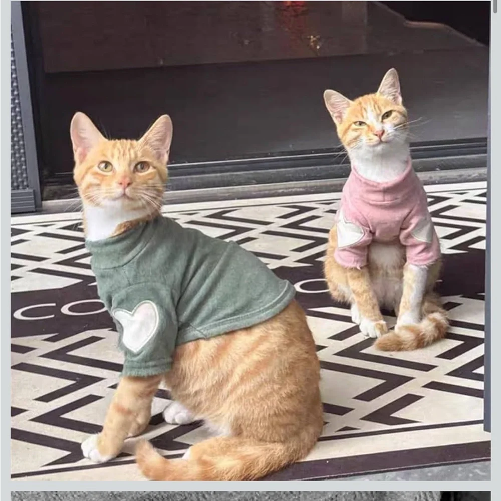 Amazon Small/XS Dog or Cat Green Sweater with Heart Elbow Pads NWT